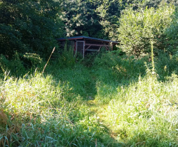 Rozvojový tím v akcii / Obnova a údržba obecných priestorov - foto