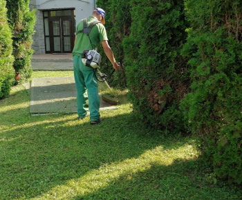 Rozvojový tím v akcii / Obnova a údržba obecných priestorov - foto