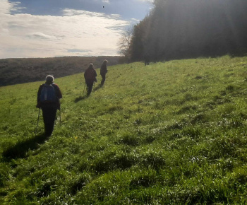 Rozvojový tím v akcii / Vyberte sa na huby, teraz je ideálny čas - foto