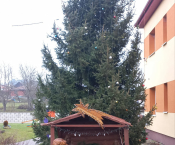 Rozvojový tím v akcii / Osadenie a výzdoba vianočného stromčeka - foto